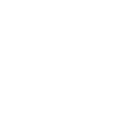 Bleuet de France